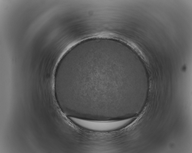 X0000095951232200801181415