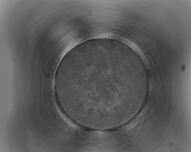 X0000095951234200801181415
