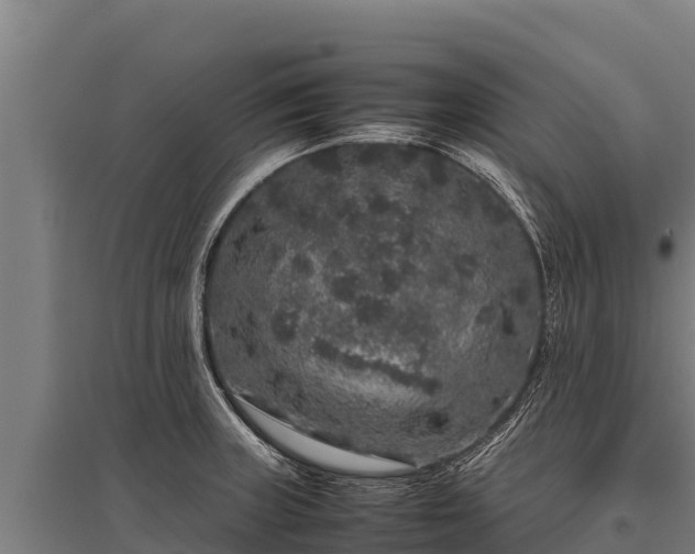 X0000095951235200801181415