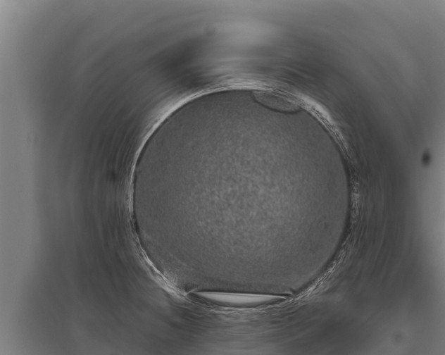 X0000095951236200801181415