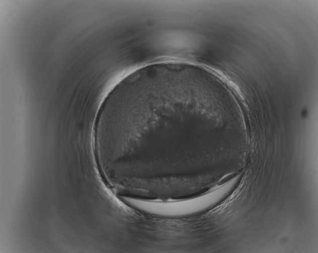 X0000095951239200801181415