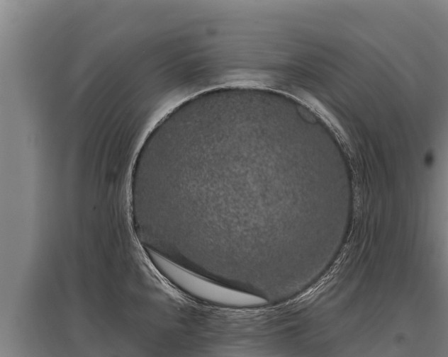 X0000095951240200801181415