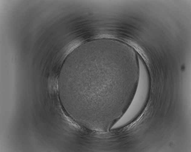 X0000095951241200801181415