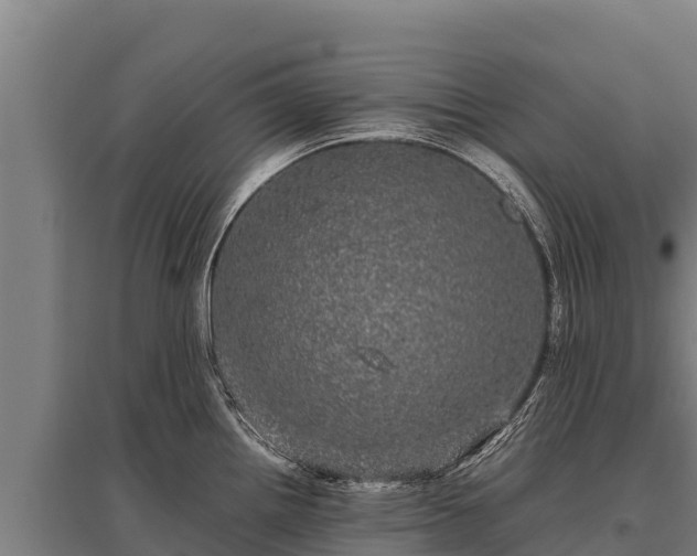 X0000095951242200801181415
