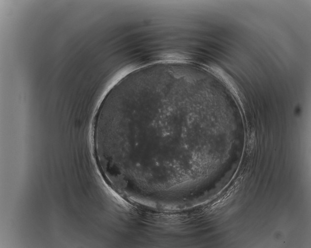 X0000095951243200801181415