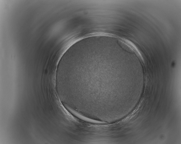 X0000095951244200801181415