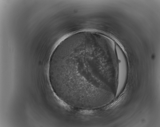 X0000095951245200801181415