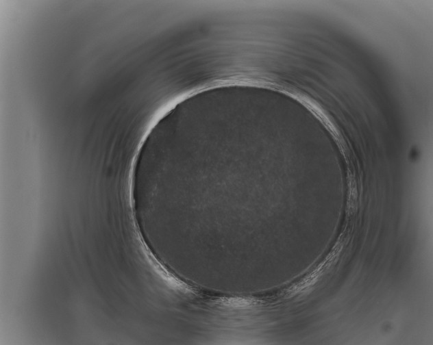 X0000095951246200801181415