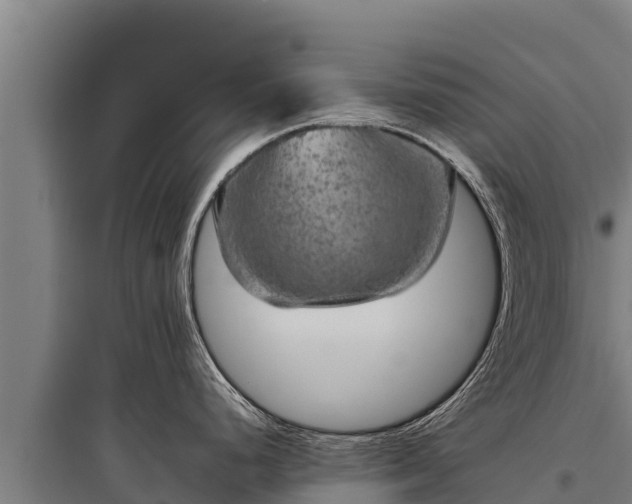 X0000095951248200801181415