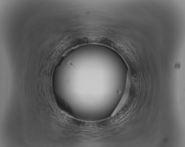 X0000095951249200801181415