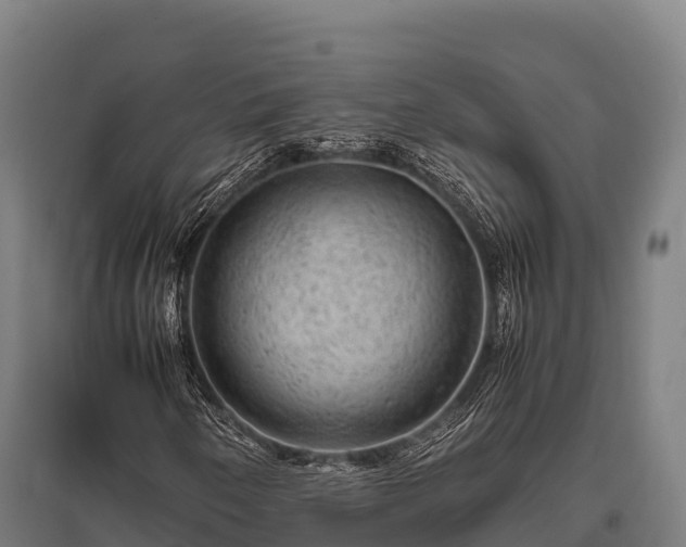 X0000095951250200801181415