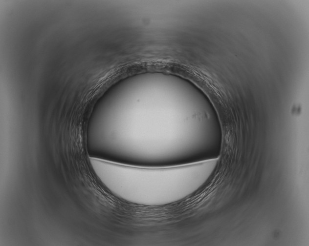 X0000095951252200801181415