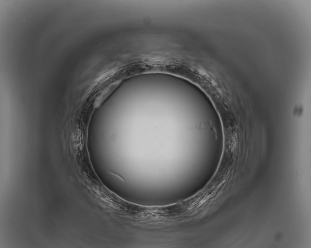 X0000095951253200801181415