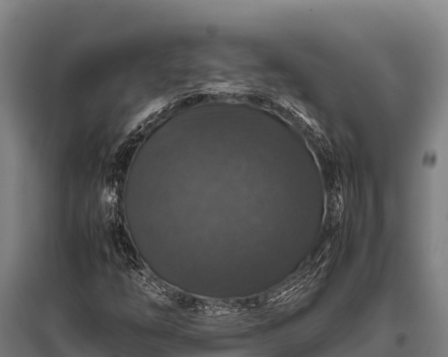 X0000095951254200801181415