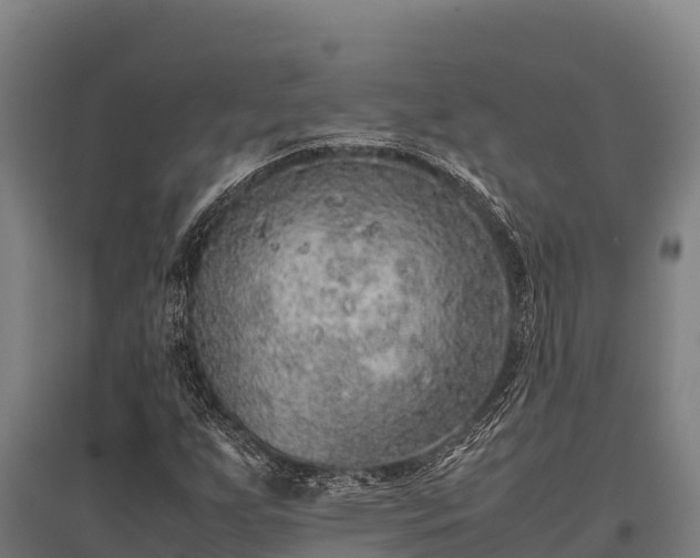 X0000095951255200801181415