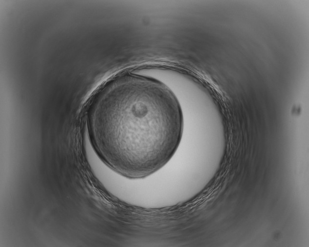 X0000095951256200801181415