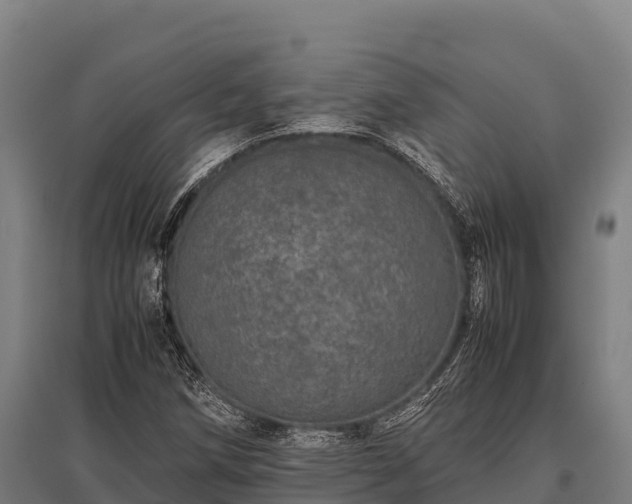 X0000095951258200801181415
