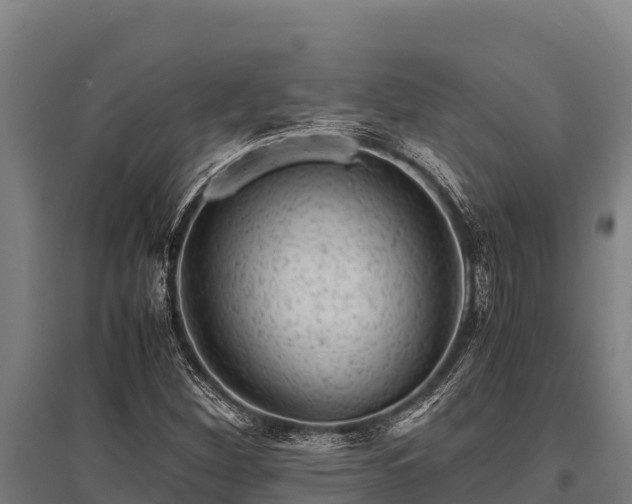 X0000095951260200801181415