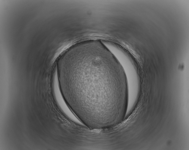 X0000095951261200801181415