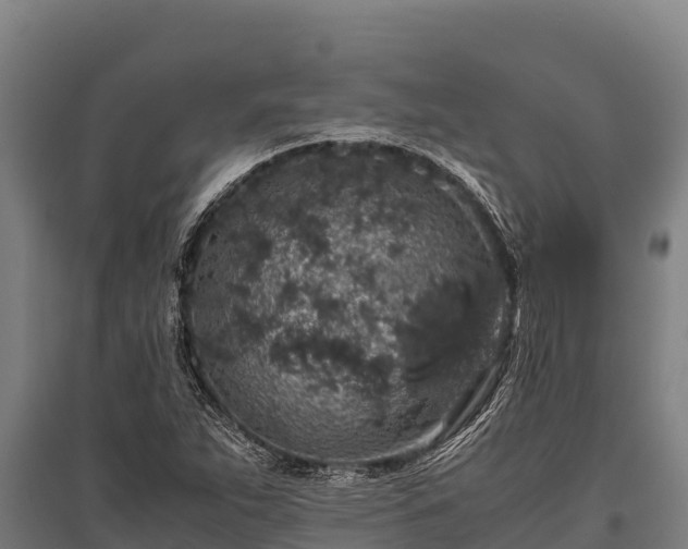 X0000095951263200801181415