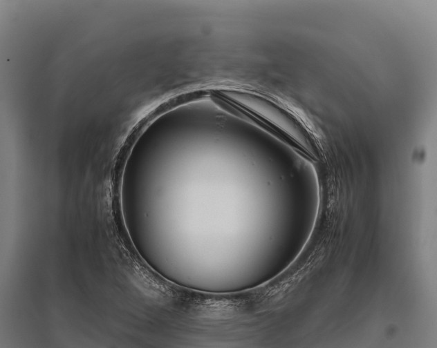 X0000095951264200801181415