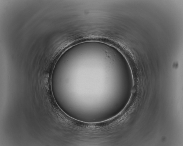 X0000095951265200801181415