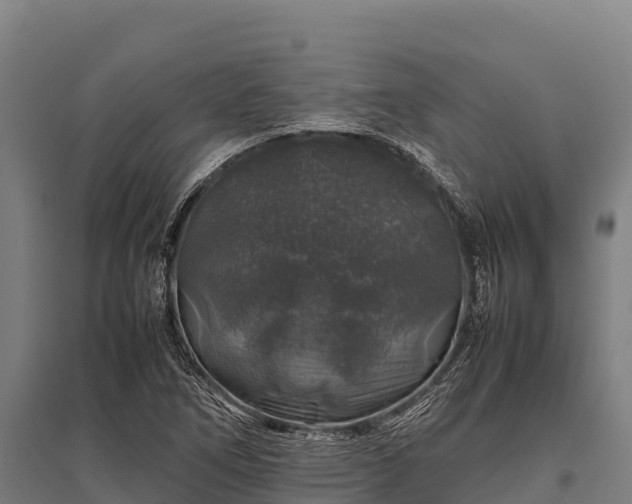 X0000095951266200801181415