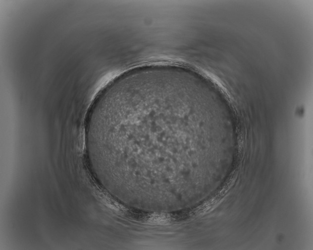 X0000095951267200801181415