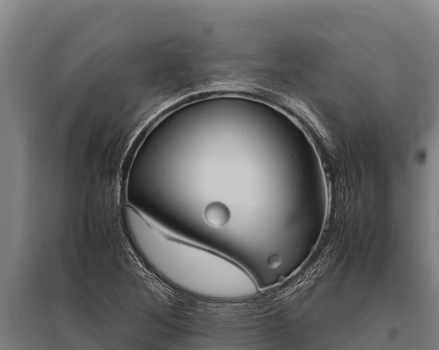 X0000095951268200801181415