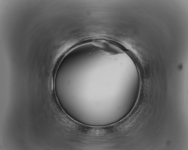X0000095951269200801181415