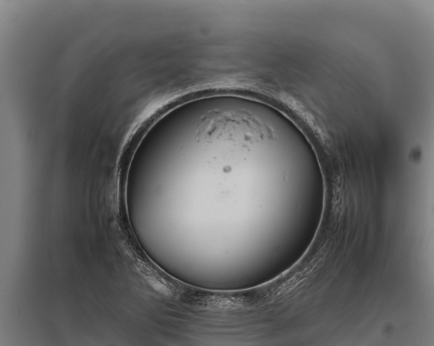 X0000095951270200801181415