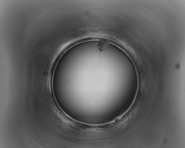 X0000095951272200801181415