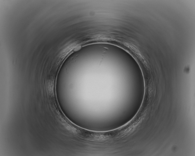 X0000095951273200801181414
