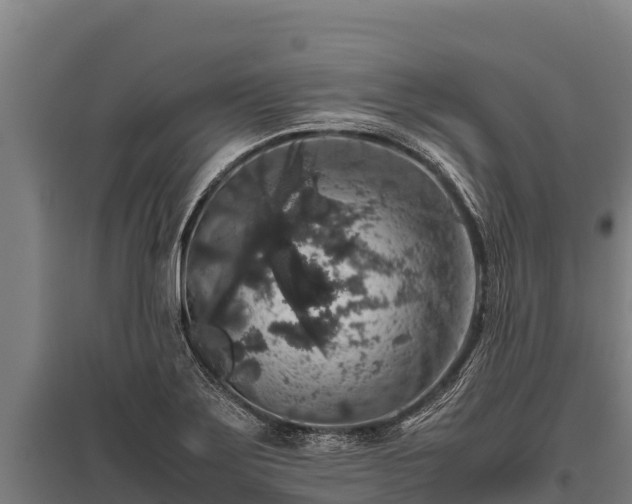 X0000095951275200801181414