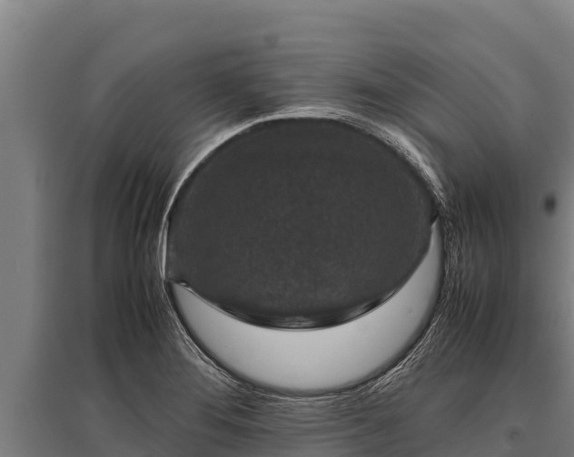 X0000095951276200801181414