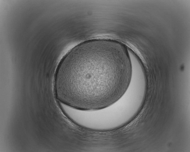 X0000095951277200801181414