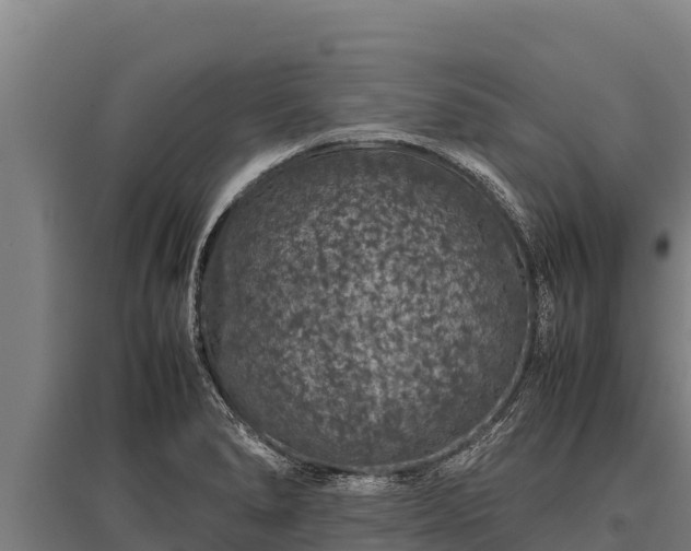 X0000095951278200801181414