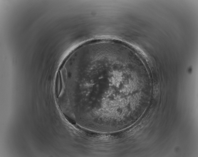 X0000095951279200801181414