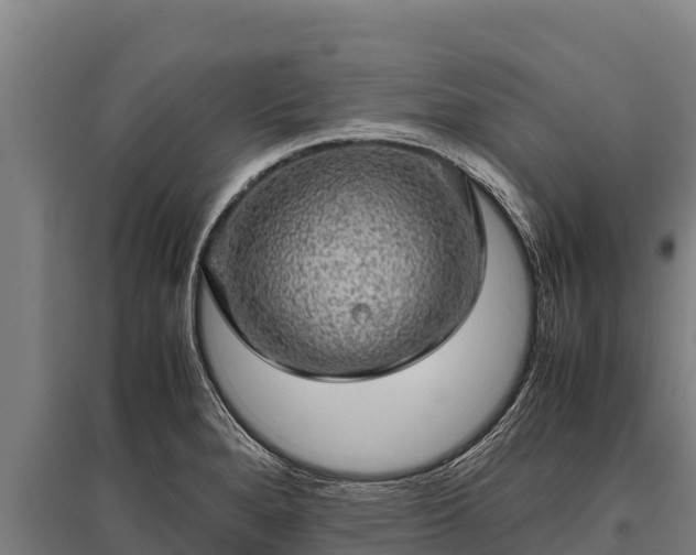 X0000095951280200801181414