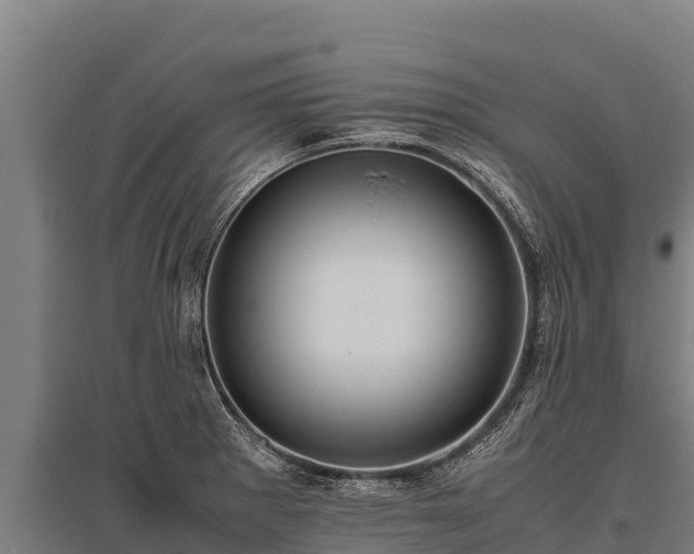 X0000095951281200801181414