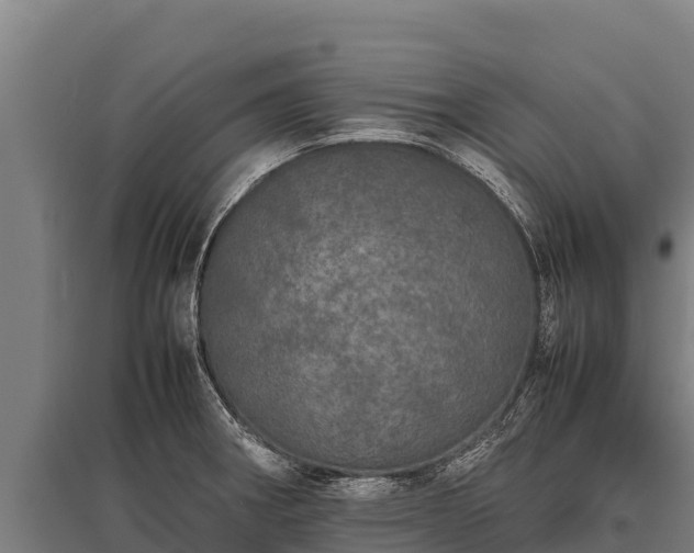 X0000095951282200801181414