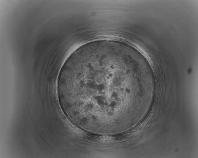 X0000095951283200801181414