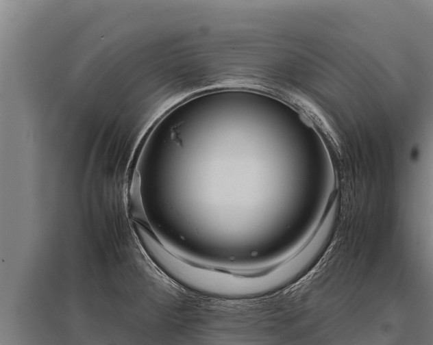 X0000095951284200801181414