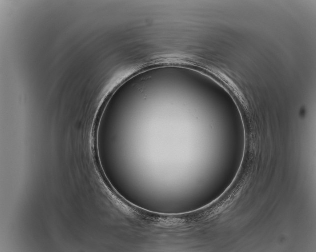 X0000095951285200801181414