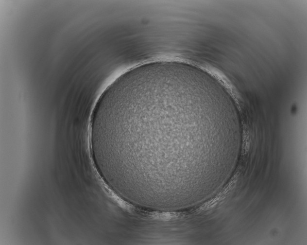 X0000095951286200801181414