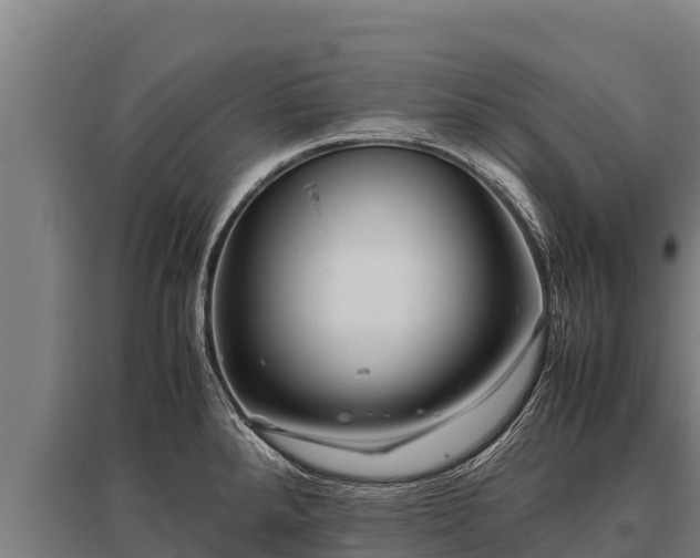 X0000095951288200801181414