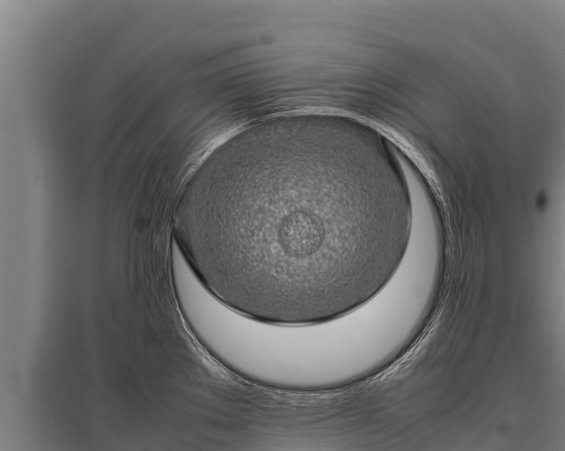 X0000095951289200801181414