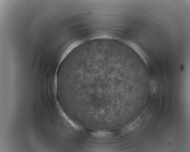 X0000095951290200801181414