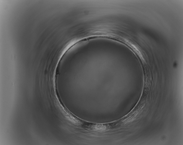 X0000095951291200801181414
