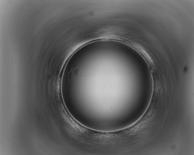 X0000095951292200801181414